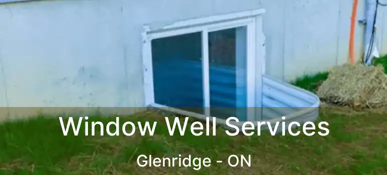  Window Well Services Glenridge - ON