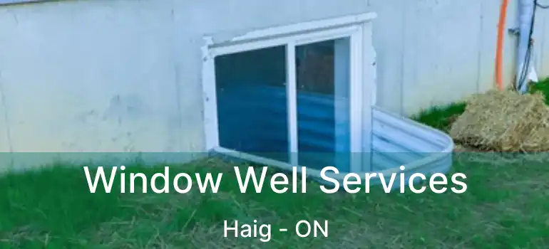 Window Well Services Haig - ON