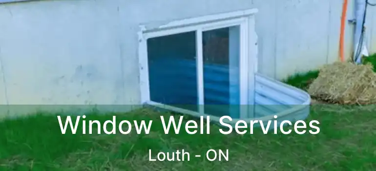 Window Well Services Louth - ON