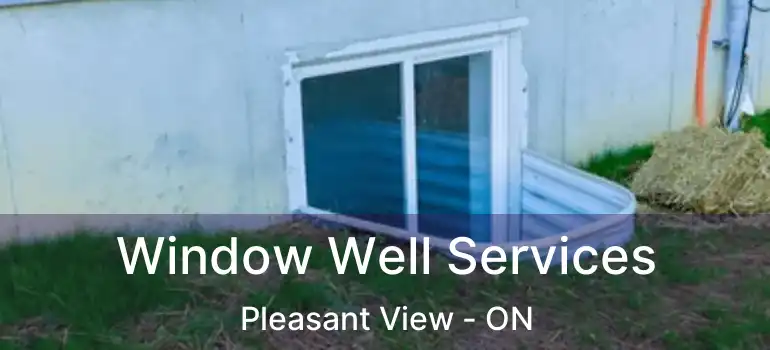  Window Well Services Pleasant View - ON