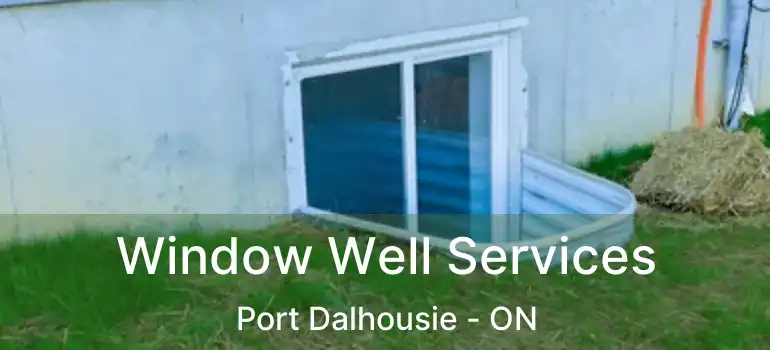  Window Well Services Port Dalhousie - ON