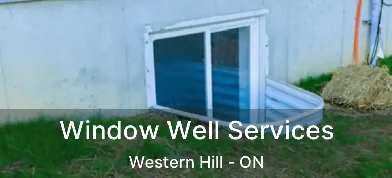  Window Well Services Western Hill - ON